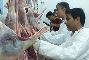 ۹۵۰۰ کیلوگرم گوشت قربانی بین مددجویان بهزیستی مازندران توزیع شد