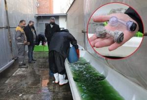 رسوب‌زدایی تخصصی تجهیزات مترو و ارتقای کیفیت تهویه ایستگاه‌ها