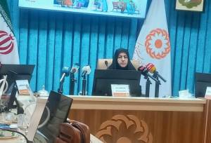 ارائه خدمات غیرمستمر به ۳۰ هزار معلول در اردبیل