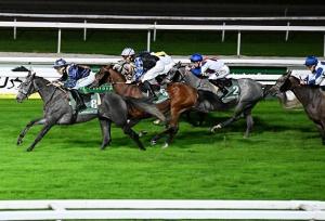 اسب ایرانی در مسابقه جایزه بزرگ فرانسه اول شد