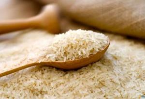 واردات برنج برای ۴ ماه ممنوع شد