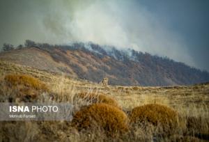 مهار آتش الیت با ۱۱۵ عملیات بالگردها و ۱۳ پرواز ایلیوشین