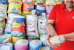 برنج بالاخره ارزان شد