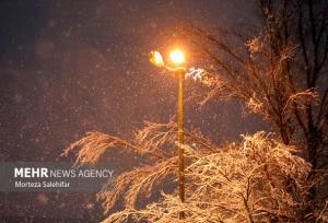 شب برفی طرقبه