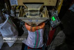 محمدی: ظرفیت تبدیل برنج در گیلان به ۱.۲ میلیون تن رسید