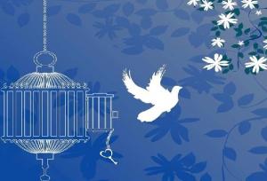 ۳۰ محکوم مالی در گلستان آزاد شدند