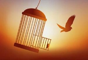 ۴۵ مددجو زندانی در خراسان شمالی با بدرقه خدام رضوی آزاد شدند