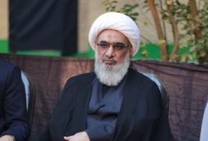 آیت الله صفایی بوشهری: آقای پزشکیان! توجه به فرهنگ راهبردی است