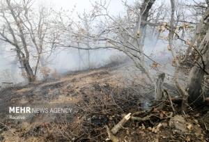 محمدی: آتش‌سوزی گسترده در روستای الیت مهار شد