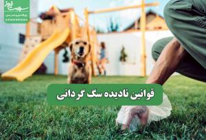 قوانین نادیده سگ گردانی