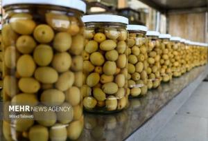 عباسی: معضلات زیست‌محیطی فرآوری زیتون مشهود است