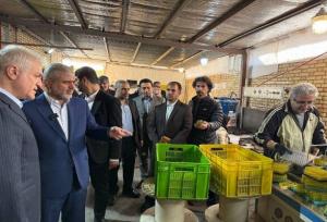 ضرورت ورود دستگاه‌های قضائی، نظارتی و اجرایی برای حل مشکلات تولید