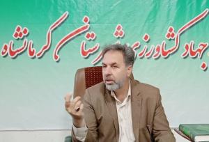 کرمانشاه رکورددار جوجه‌ریزی و تولید گوشت سفید در استان