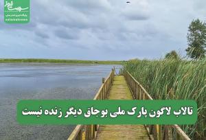 تالاب لاگون پارک ملی بوجاق دیگر زنده نیست