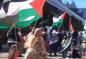 تظاهرات مردم سوئد در اعتراض به نسل‌کشی مردم غزه+ فیلم