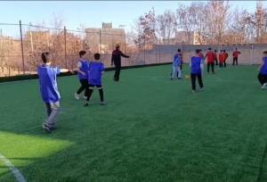 چمن مصنوعی مدرسه رستگاران دهگلان به بهره‌برداری رسید