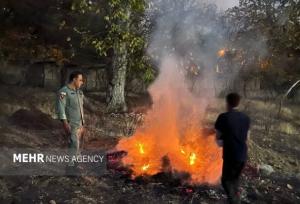 آتش زدن شاخ و برگ درختان در شمال تهران در سایه عدم نظارت مسئولین