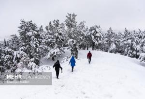 بارش ۵۵ سانتی متری برف در روستای علی کرمی دمچنار
