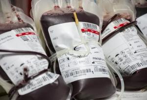 میانگین ذخیره خون در استان بوشهر ۳ برابر شد