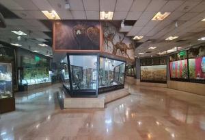 بازدید از موزه‌ها و اماکن تاریخی برای دانشجویان و اساتید رایگان شد