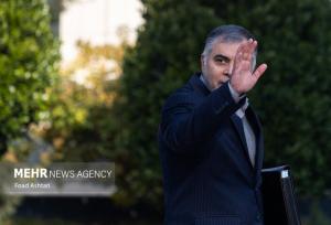 پاک نژاد: «شورای عالی انرژی» تشکیل می‌شود