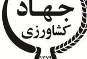 چالش‌های راهبردی در سازمان تحقیقات و ضرورت اصلاح رویه‌ها