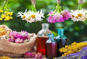 هدفگذاری کشت ۱۱ هزار و ۵۰۰ هکتار گیاهان دارویی در همدان