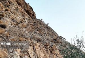 عواقب خطرناک عدم مدیریت اصولی پسماندها در حاشیه شهرهای استان سمنان