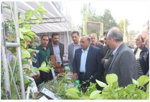 نمایشگاه استانی هفته پژوهش در قصرشیرین گشایش یافت