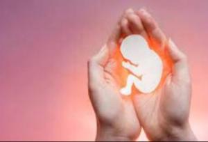 نجات بیش از ۷۰۰ نوزاد از سقط جنین در استان مرکزی