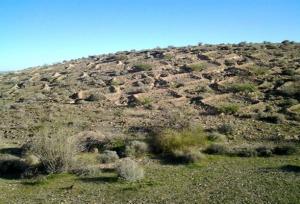 سامانه‌های سطوح آبگیر؛ راهی برای احیای باغات دیم در مواجهه با خشکسالی