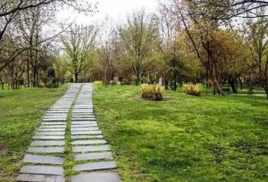 دمای هوای مشهد به ۳۸ درجه می رسد