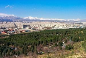 هم‌فکری برای نجات درختان سرخه‌حصار