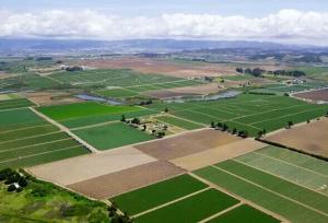 واگذاری اراضی ملی استان بوشهر برای اجرای طرح‌های غیرکشاورزی