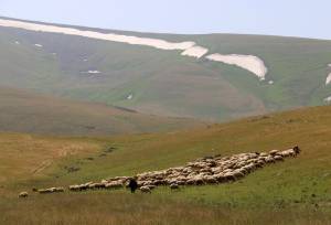 احیای یک هکتار مرتع و اضافه شدن ۲۵۰ مترمکعب به ظرفیت نفوذ آب در کشور