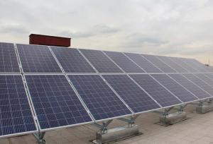 مدیرکل کمیته امداد بوشهر: ۴۴۴ طرح نیروگاه خورشیدی در استان اجرا شد