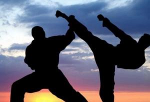 استان مرکزی میزبان مسابقات قهرمانی هنرهای رزمی ترکیبی کشور است