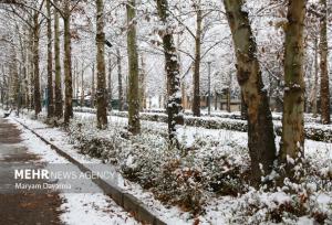 فعالیت آخرین موج بارشی در کشور؛ بارش‌های پراکنده و موقتی در ۵ استان