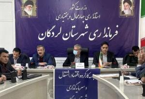 ضرورت جذب کامل تسهیلات مشاغل خانگی