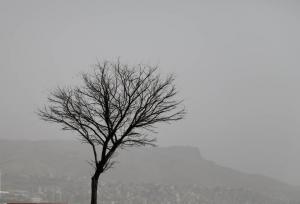 پیش‌بینی وزش باد شدید در خراسان جنوبی؛ هوا گرم‌تر می‌شود