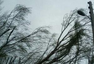 تندباد به ۵۰ سیاه‌چادر عشایری در استان ایلام خسارت وارد کرد