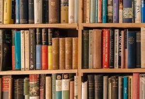 نشست‌های کتابخوان فرصتی ارزشمند برای گسترش فرهنگ مطالعه است