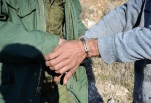 دستگیری ۹۹ شکارچی توسط محیط زیست استان قزوین