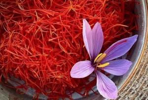 احدی عالی: تولید زعفران در مزارع استان اردبیل افزایش یافته است