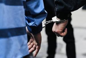 فرمانده انتظامی هرمزگان: ۲ سرشبکه اصلی اغتشاشات در بندرعباس بازداشت شدند