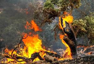 ستاد بحران در الیت؛اعزام گسترده نیروها برای مهار حریق