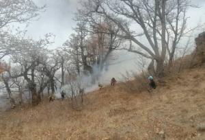 تلاش برای مهار آتش‌سوزی گسترده الیت چالوس با سه بالگرد