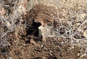 عملیات پاکسازی پارک ملی بوجاق از تله‌های شکارچیان غیرمجاز