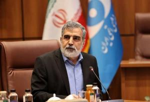 کمالوندی: صنعت هسته‌ای در کشور ما ریشه دارد