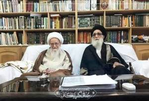 خدمات ارزنده آیت‌الله محمودی برگی زرّین در زندگی آن عالم والامقام است